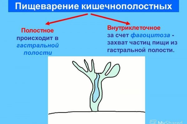 Почему не могу зайти на кракен